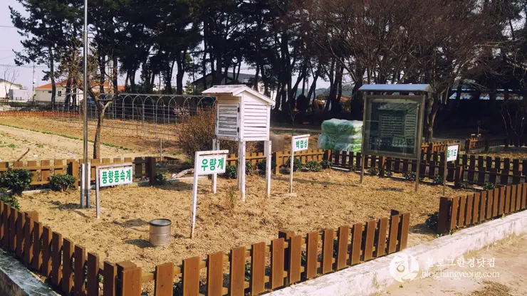 포항여행, 북송리 북천수 걷기 좋은 길 (feat. 비닐 하우스 미나리 삼겹살)