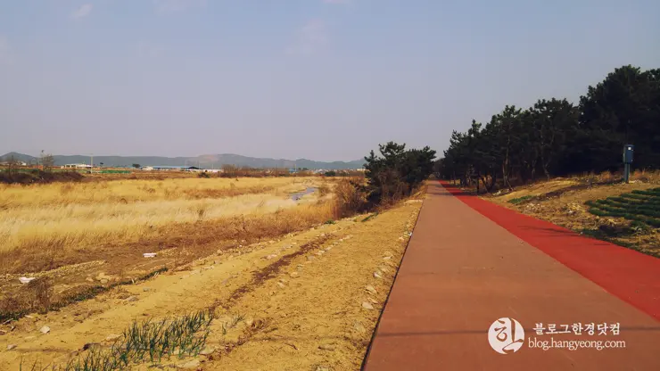 포항여행, 북송리 북천수 걷기 좋은 길 (feat. 비닐 하우스 미나리 삼겹살)