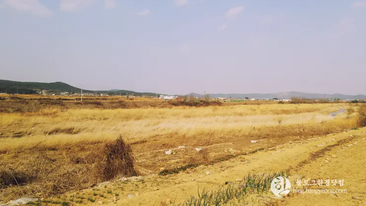 포항여행, 북송리 북천수 걷기 좋은 길 (feat. 비닐 하우스 미나리 삼겹살)