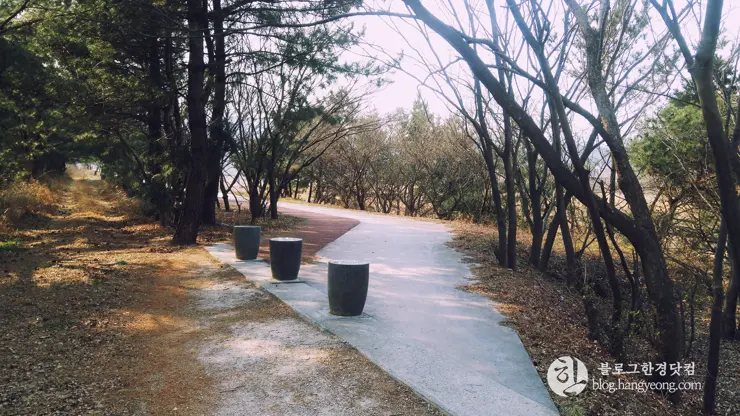 포항여행, 북송리 북천수 걷기 좋은 길 (feat. 비닐 하우스 미나리 삼겹살)