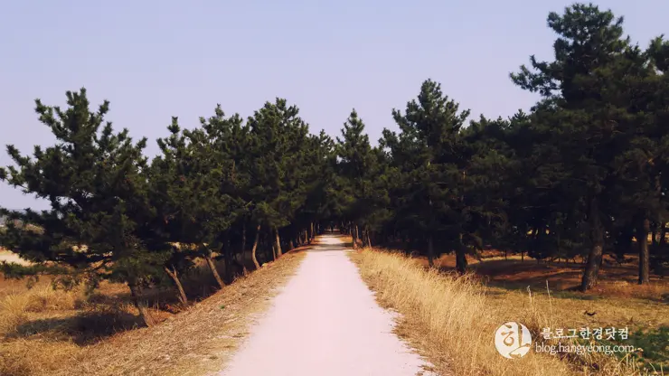 포항여행, 북송리 북천수 걷기 좋은 길 (feat. 비닐 하우스 미나리 삼겹살)