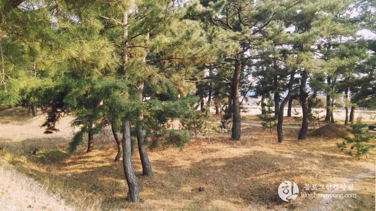 포항여행, 북송리 북천수 걷기 좋은 길 (feat. 비닐 하우스 미나리 삼겹살)