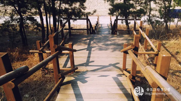 포항여행, 북송리 북천수 걷기 좋은 길 (feat. 비닐 하우스 미나리 삼겹살)