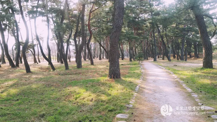 포항여행, 북송리 북천수 걷기 좋은 길 (feat. 비닐 하우스 미나리 삼겹살)