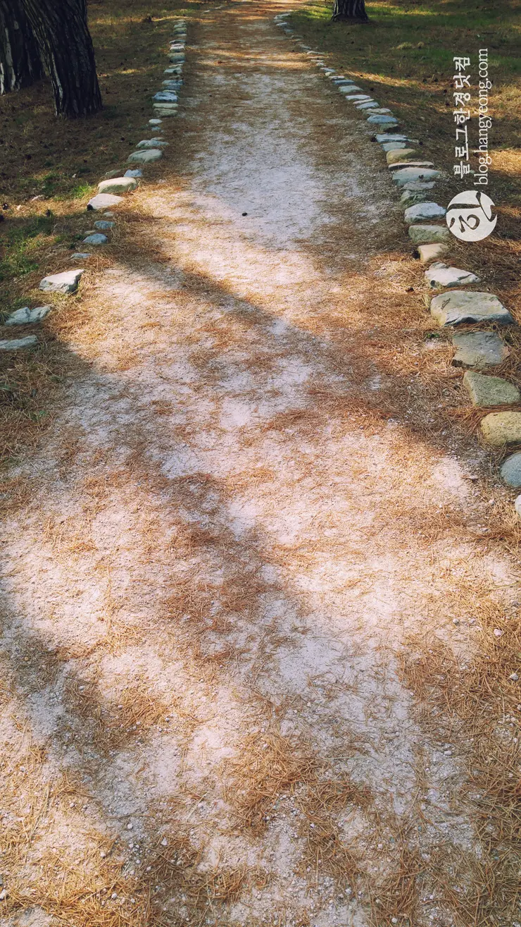 포항여행, 북송리 북천수 걷기 좋은 길 (feat. 비닐 하우스 미나리 삼겹살)