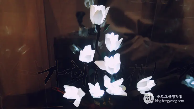 인천여행, 인천 차이나타운 (한국 속의 작은 중국, Little China in Korea) ②