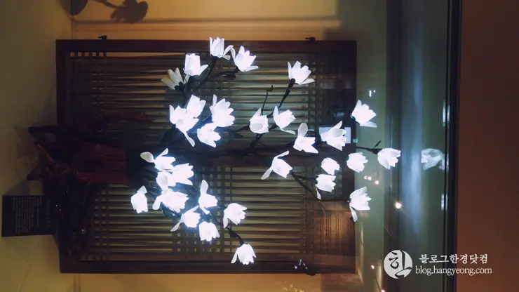 인천여행, 인천 차이나타운 (한국 속의 작은 중국, Little China in Korea) ②