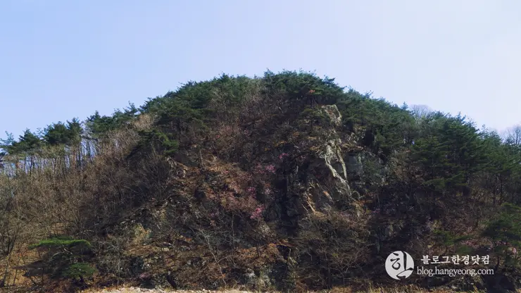 포항여행, 오어사 (오어지 둘레길, 2시간 걷기 코스)