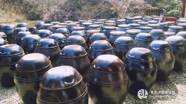 포항여행, 오어사 (오어지 둘레길, 2시간 걷기 코스)