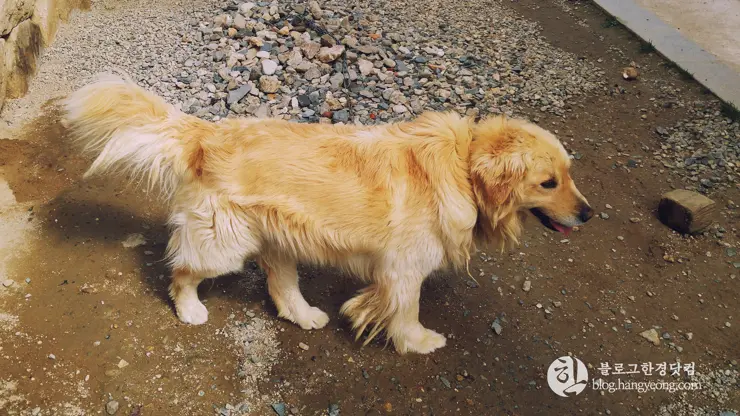 포항여행, 오어사 (오어지 둘레길, 2시간 걷기 코스)