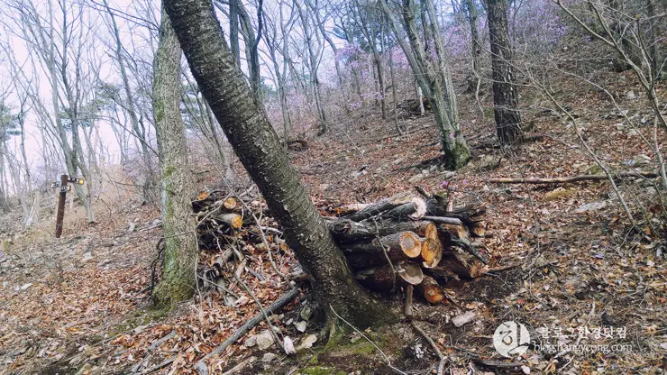 포항여행, 오어사 (오어지 둘레길, 2시간 걷기 코스)