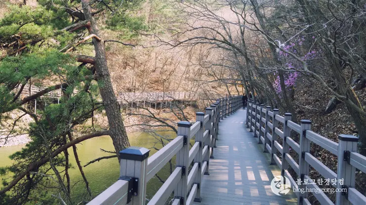 포항여행, 오어사 (오어지 둘레길, 2시간 걷기 코스)