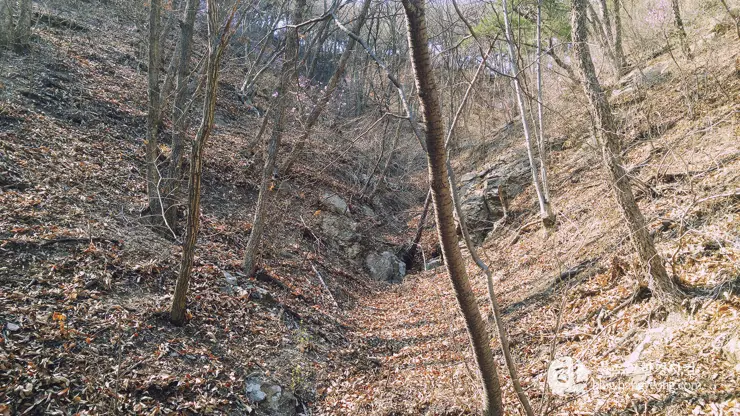 포항여행, 오어사 (오어지 둘레길, 2시간 걷기 코스)