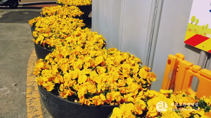 대구여행①, 김광석 다시 그리기 길