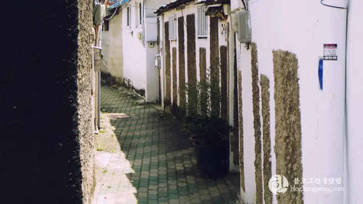 대구여행①, 김광석 다시 그리기 길