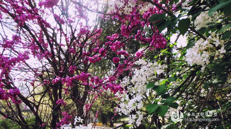 대구여행②, 근대문화거리와 서문시장