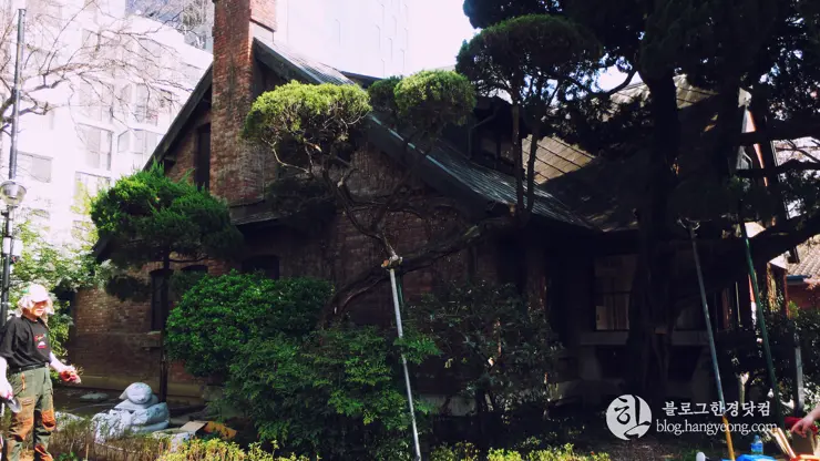 대구여행②, 근대문화거리와 서문시장