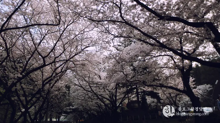 대구여행③ 앞산 케이블카 (앞산 전망대에서 대구 일대를 한 눈에 담다)