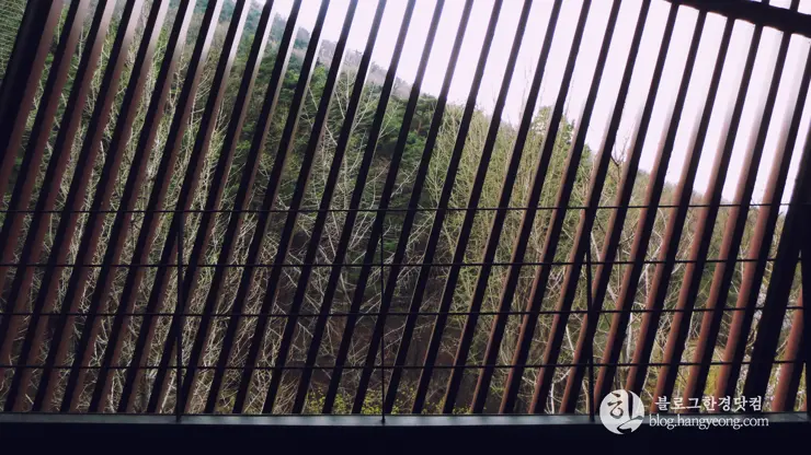 대구여행③ 앞산 케이블카 (앞산 전망대에서 대구 일대를 한 눈에 담다)