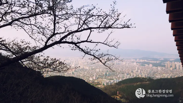 대구여행③ 앞산 케이블카 (앞산 전망대에서 대구 일대를 한 눈에 담다)