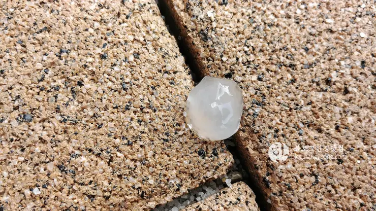 소나기와 우박, 우박 자동차 파손 피해 보상