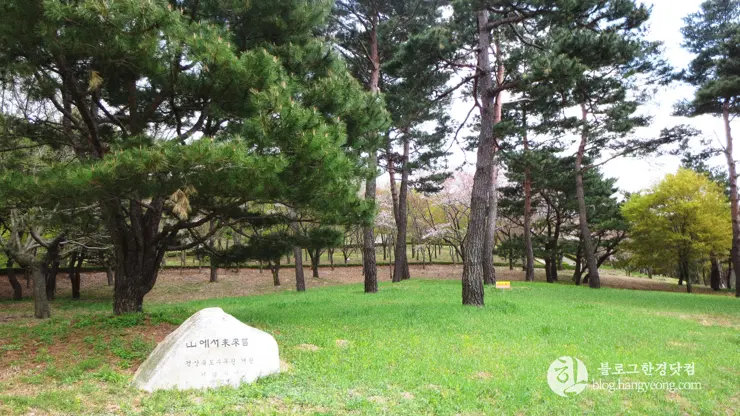 포항 경상북도 수목원, 하늘과 산이 맞닿아 있는 정원