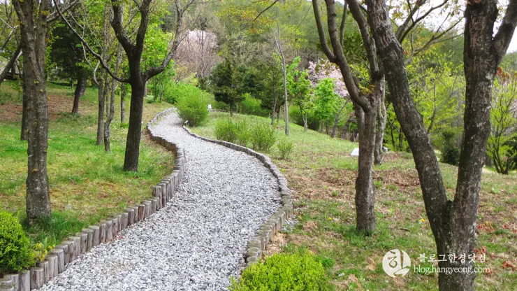 포항 경상북도 수목원, 하늘과 산이 맞닿아 있는 정원