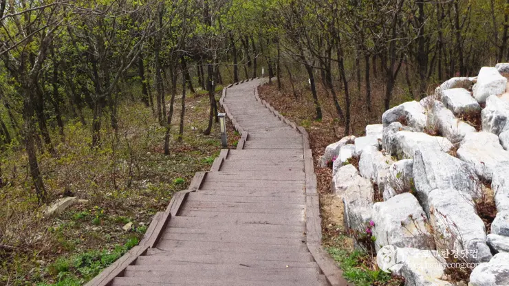 포항 경상북도 수목원, 하늘과 산이 맞닿아 있는 정원