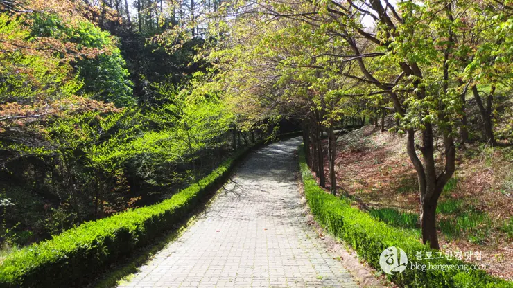 포항 경상북도 수목원, 하늘과 산이 맞닿아 있는 정원