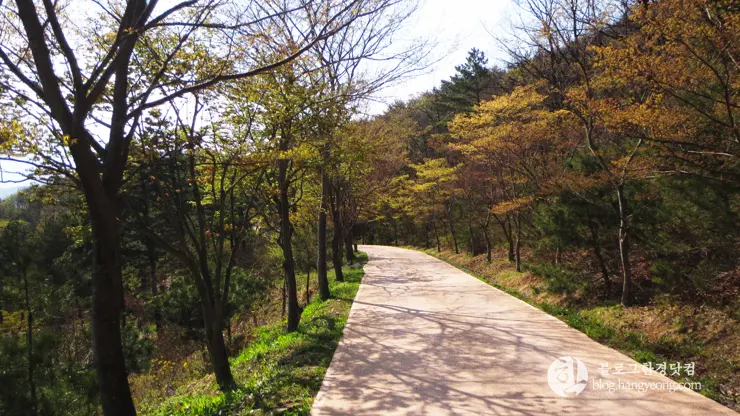 포항 경상북도 수목원, 하늘과 산이 맞닿아 있는 정원