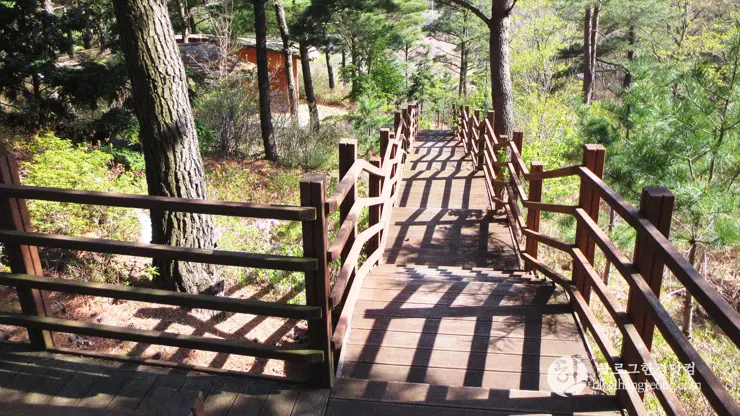 포항 경상북도 수목원, 하늘과 산이 맞닿아 있는 정원
