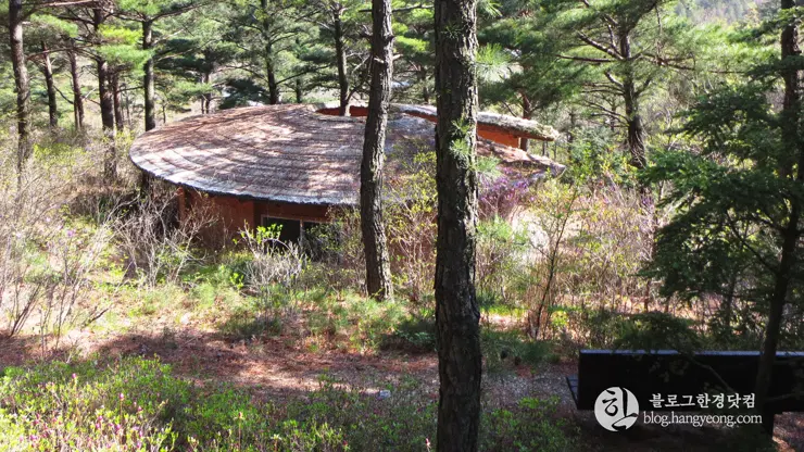 포항 경상북도 수목원, 하늘과 산이 맞닿아 있는 정원