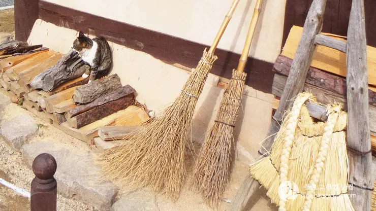 포항 경상북도 수목원, 하늘과 산이 맞닿아 있는 정원