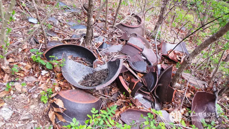 포항 경상북도 수목원, 하늘과 산이 맞닿아 있는 정원