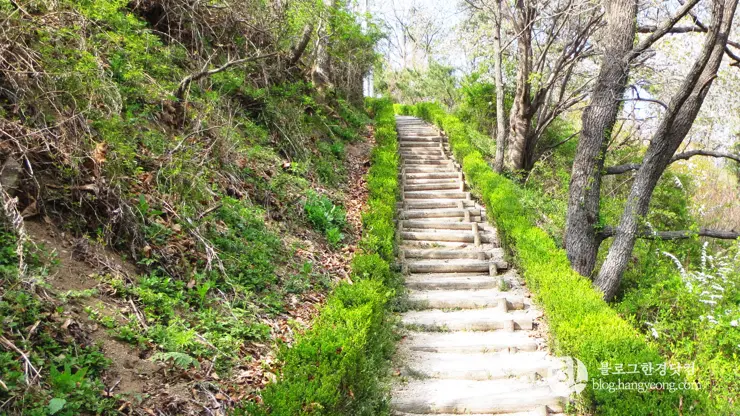 포항 경상북도 수목원, 하늘과 산이 맞닿아 있는 정원