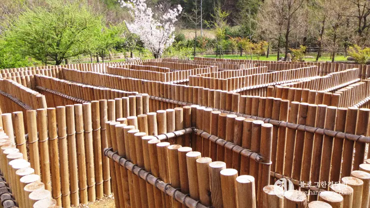 포항 경상북도 수목원, 하늘과 산이 맞닿아 있는 정원