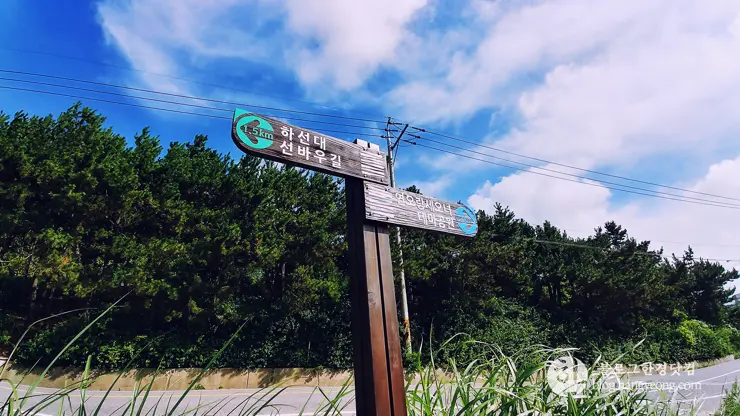 포항, 연오랑세오녀 테마공원, 호미반도 해안 둘레길