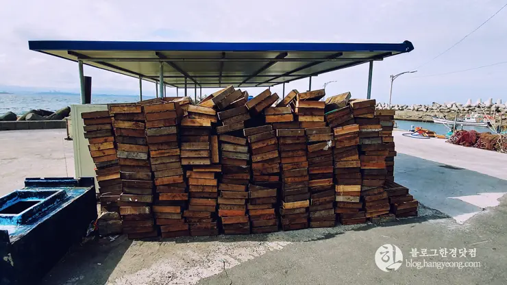 포항, 연오랑세오녀 테마공원, 호미반도 해안 둘레길