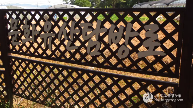 경주국립공원 남산지구, 금오봉 등정