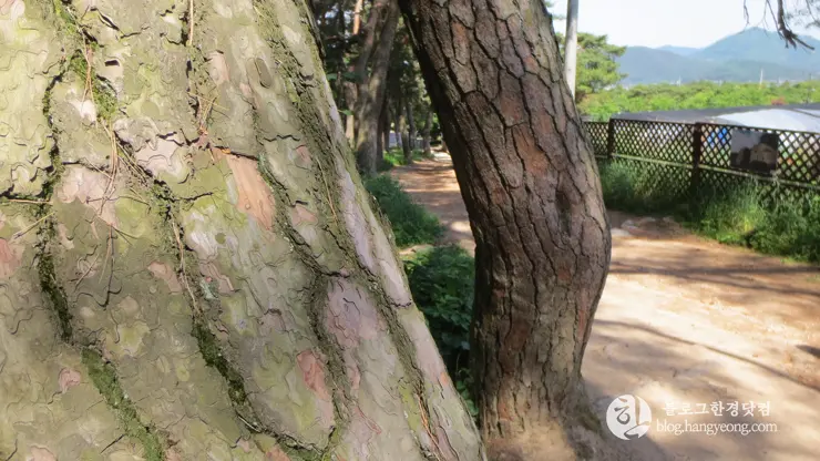 경주국립공원 남산지구, 금오봉 등정