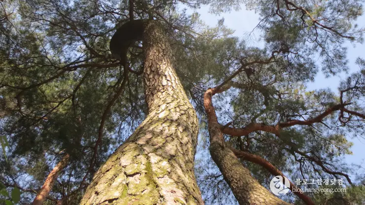경주국립공원 남산지구, 금오봉 등정