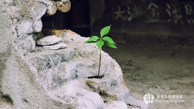 강원도 철원 노동당사, 분단과 전쟁의 아픔을 간직한 곳