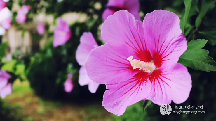 강원도 철원 노동당사, 분단과 전쟁의 아픔을 간직한 곳