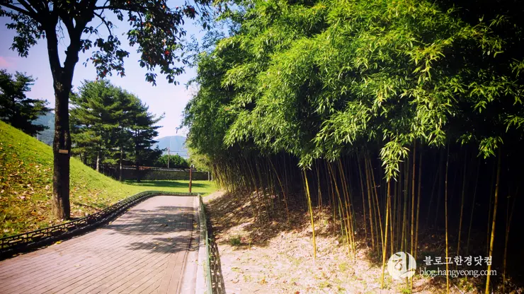 경주여행 1, 천년신라의 찬란함이 잠들어 있는 경주 (대릉원, 첨성대)