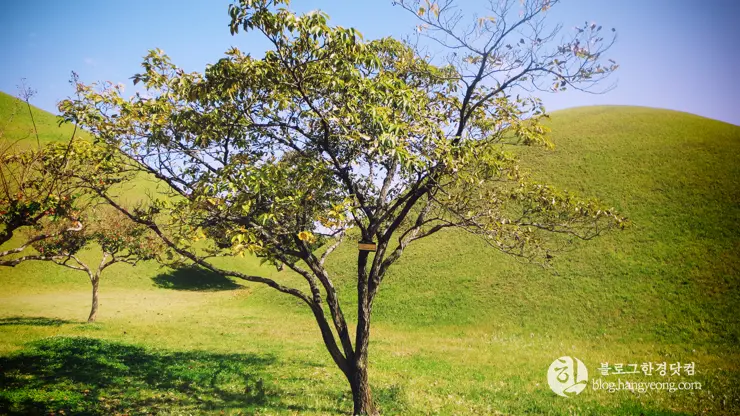 경주여행 1, 천년신라의 찬란함이 잠들어 있는 경주 (대릉원, 첨성대)