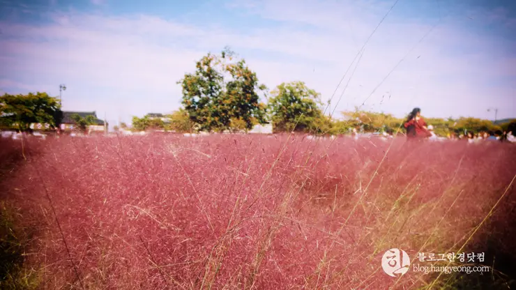 경주여행 1, 천년신라의 찬란함이 잠들어 있는 경주 (대릉원, 첨성대)