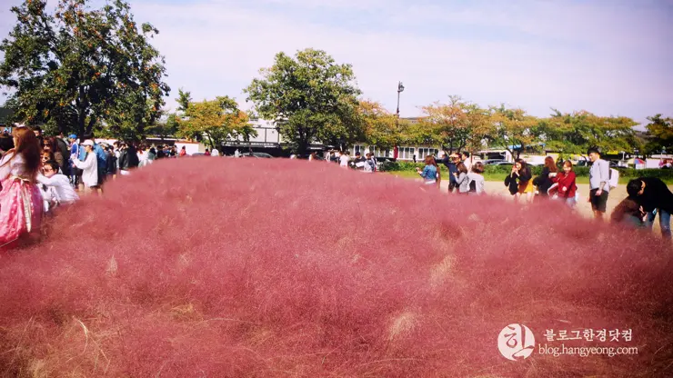 경주여행 1, 천년신라의 찬란함이 잠들어 있는 경주 (대릉원, 첨성대)