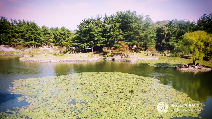 경주여행 2, 백성을 하나로 단결시키는 힘, 신라 호국불교 (동궁과 월지, 분황사, 황룡사지)