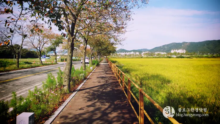 경주여행 2, 백성을 하나로 단결시키는 힘, 신라 호국불교 (동궁과 월지, 분황사, 황룡사지)