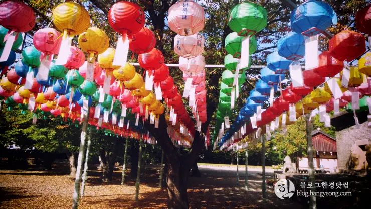 경주여행 2, 백성을 하나로 단결시키는 힘, 신라 호국불교 (동궁과 월지, 분황사, 황룡사지)